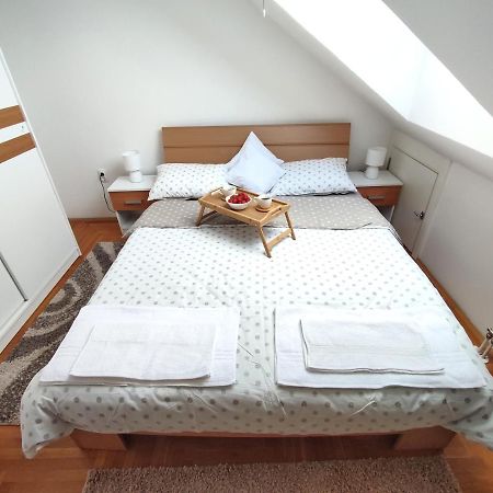 Apartman Ns Dan Private Parking Новий Сад Екстер'єр фото